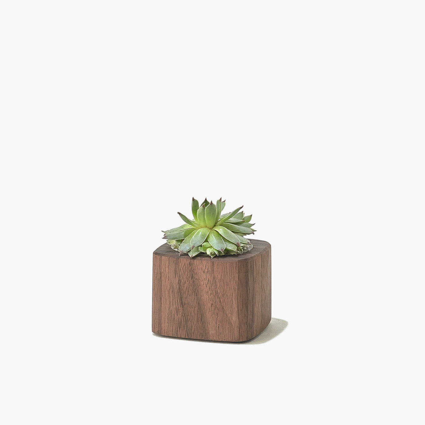 page_shop_product_10